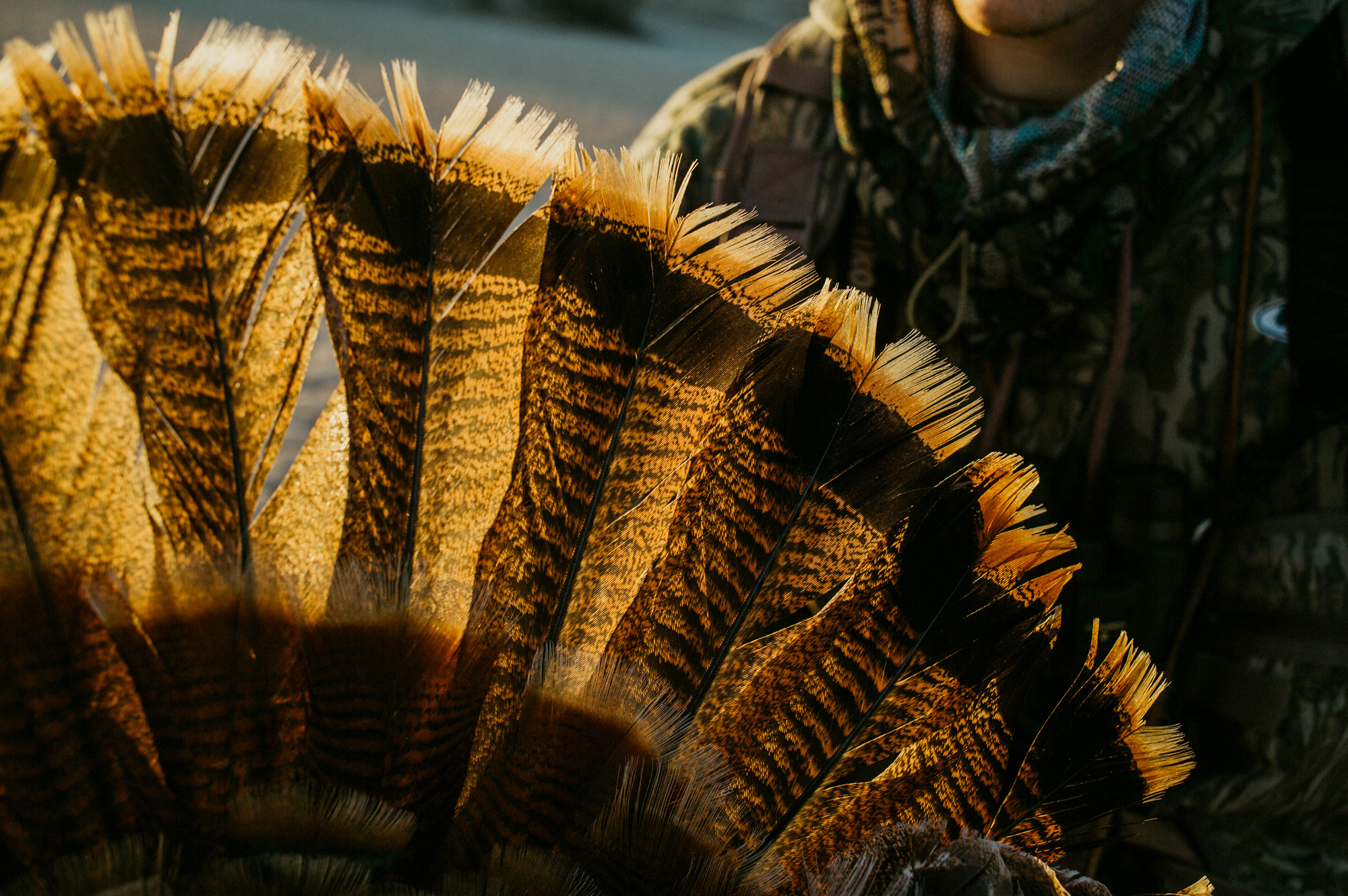 SecondShift Turkey Hunting Strategies The National Wild Turkey