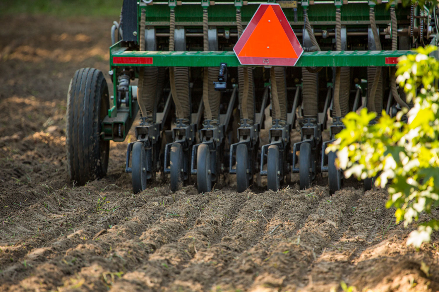 Chufa How-to - The National Wild Turkey Federation
