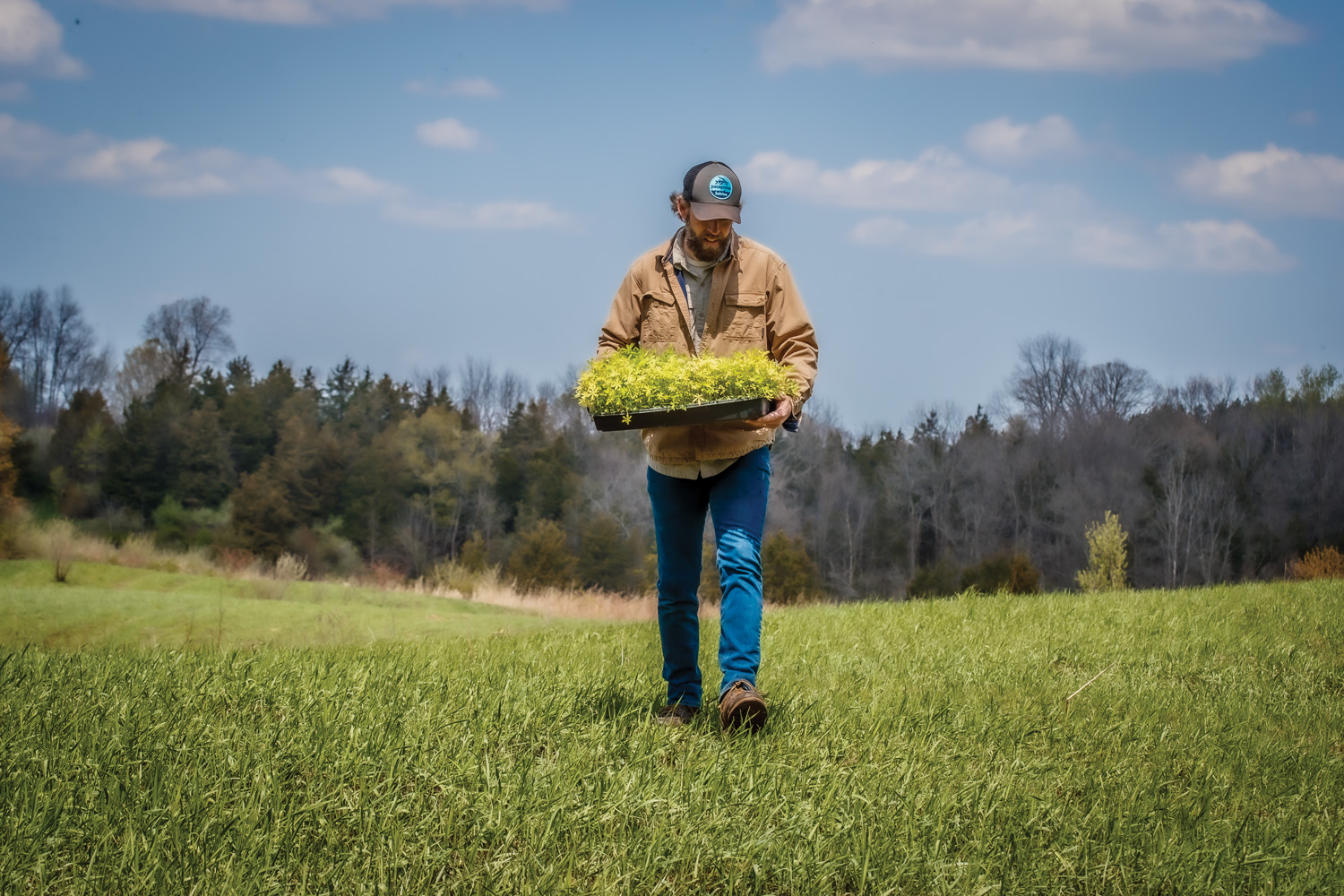 man carrying a tray of seedlings into a field