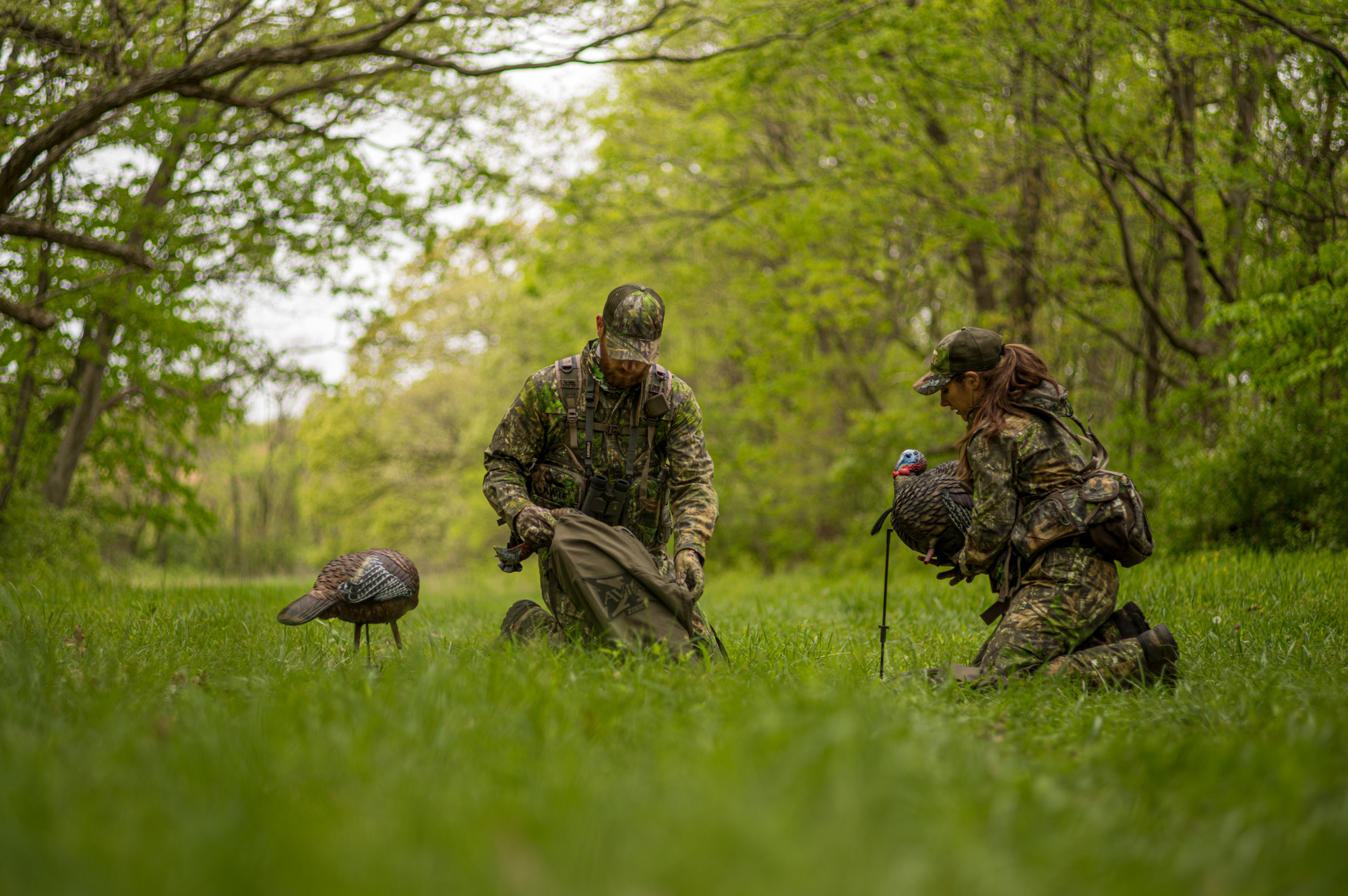 male and female hunter placing turkey decoys in an opening