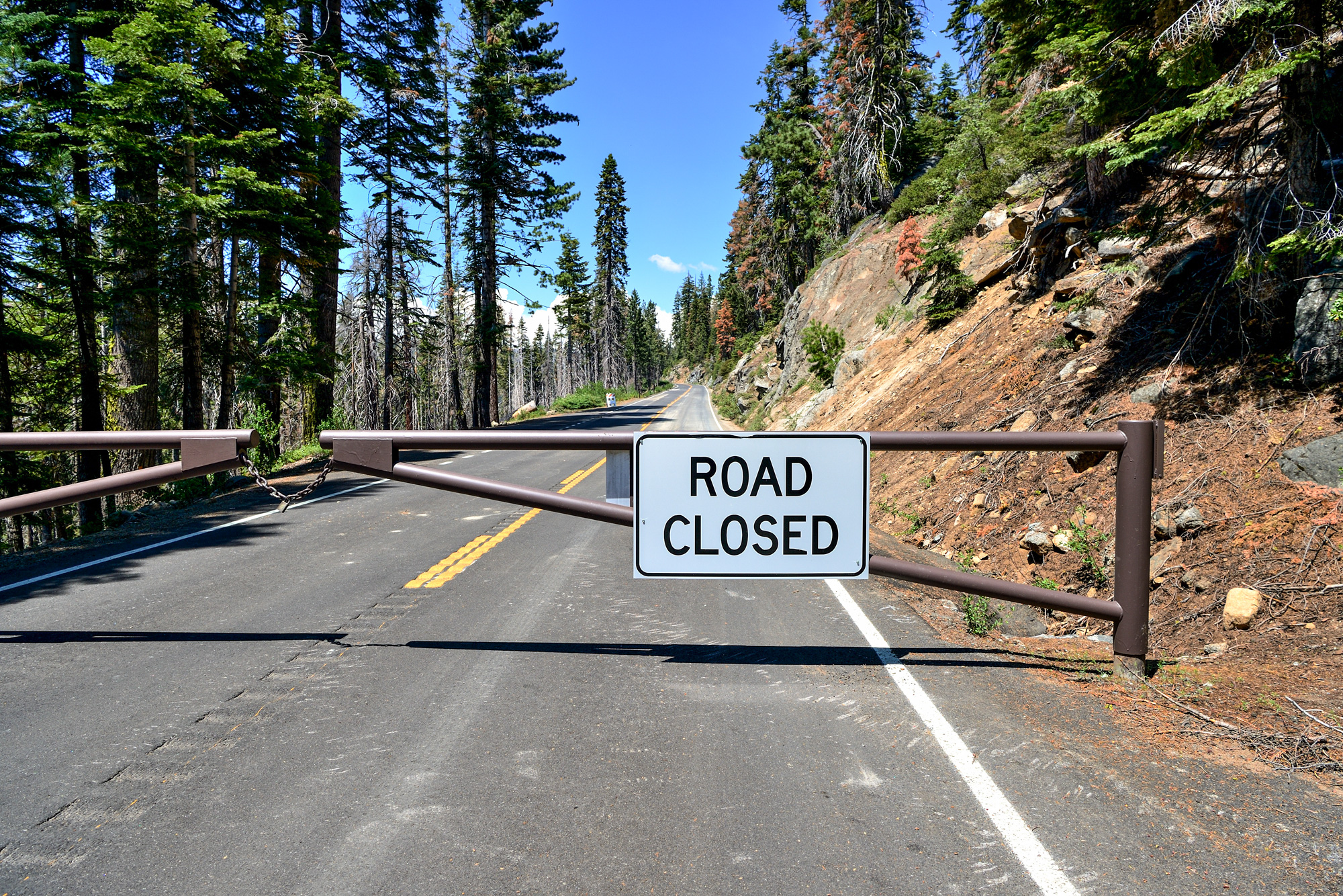 road closed sign on a forest service road