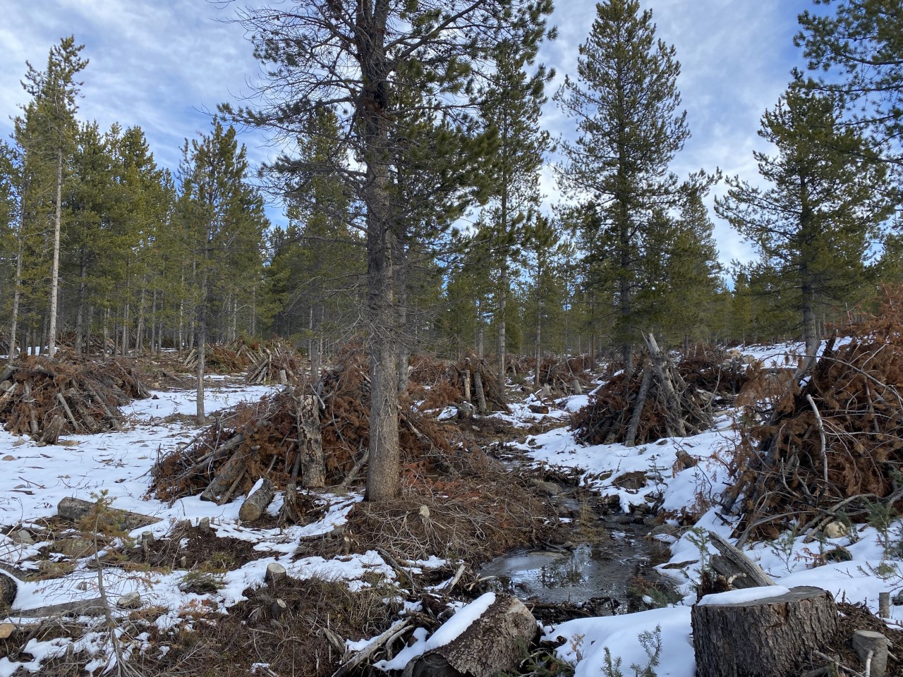 Restoring Utah S Watersheds Through Innovation And Collaboration The