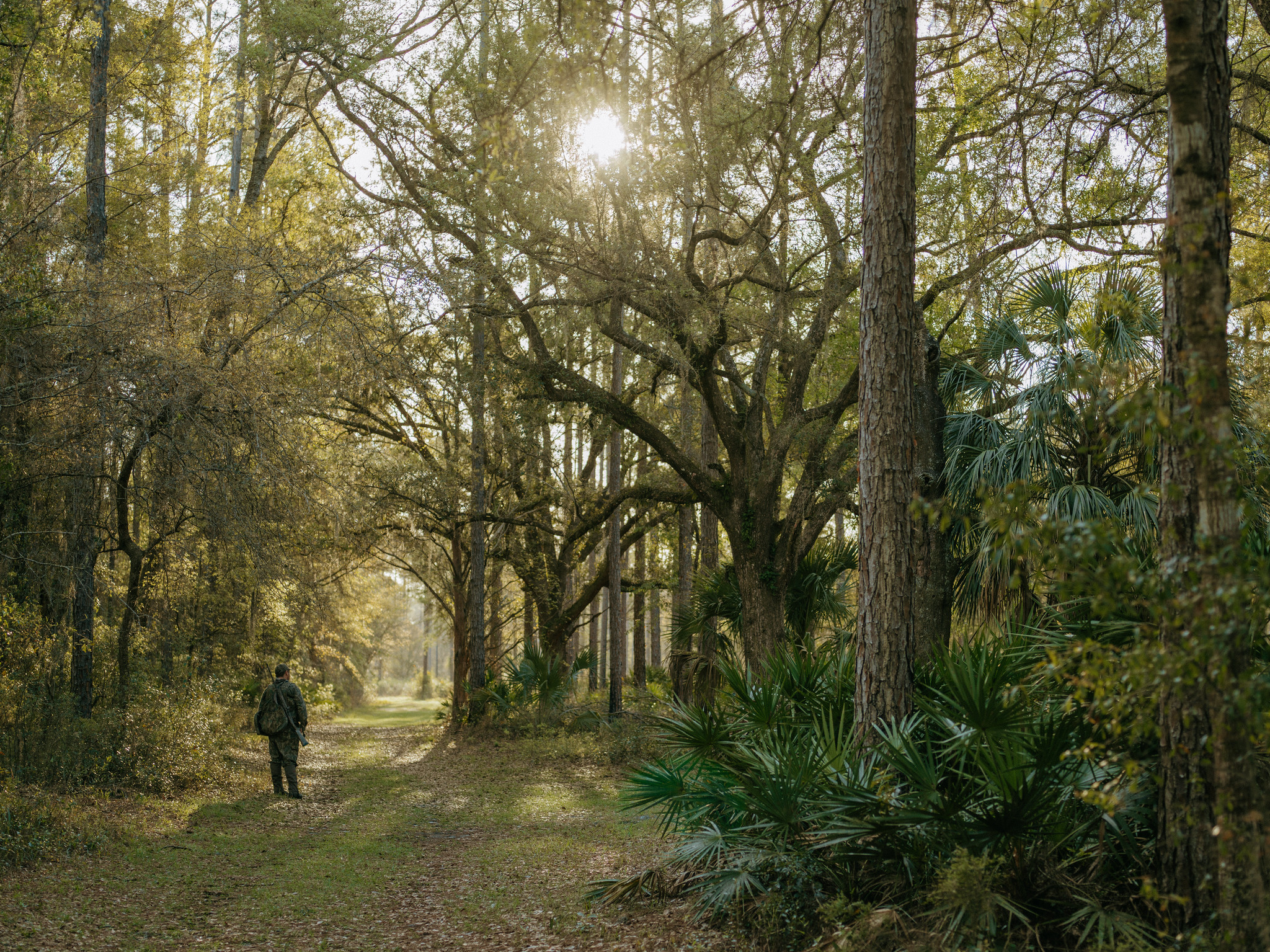 hunter standing in florida swamps