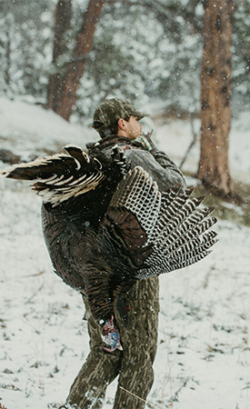 WILD TURKEY OUTDOOR SET【ジャンク】 WILD TURKEY OUTDOOR SET【ジャンク】