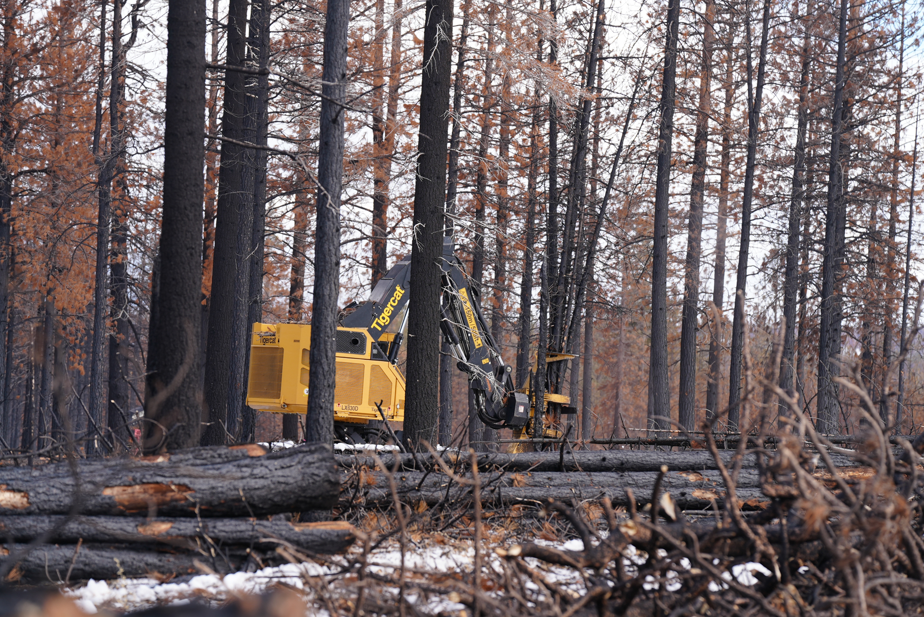 Harvesting timber in the Klamath NF
