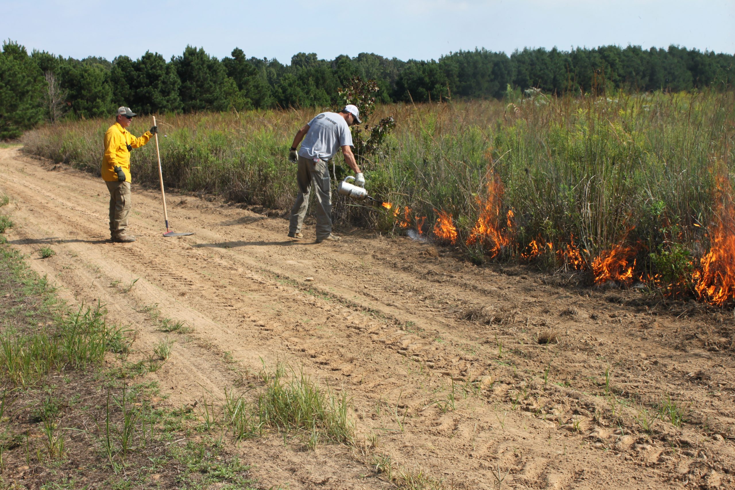 starting a prescribed fire on the edge of property