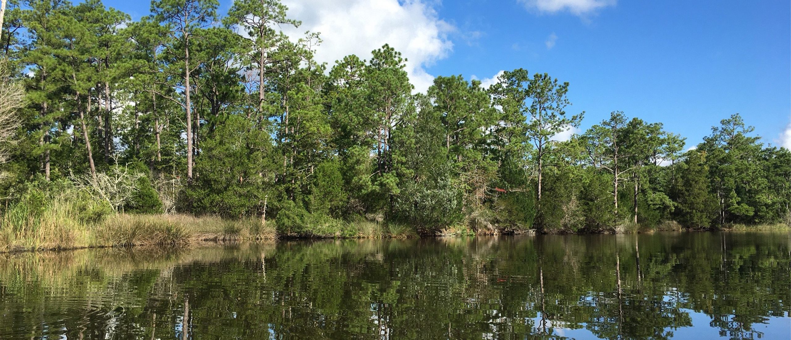 NWTF and Partners Add Over 400 Acres to Public Game Lands in North