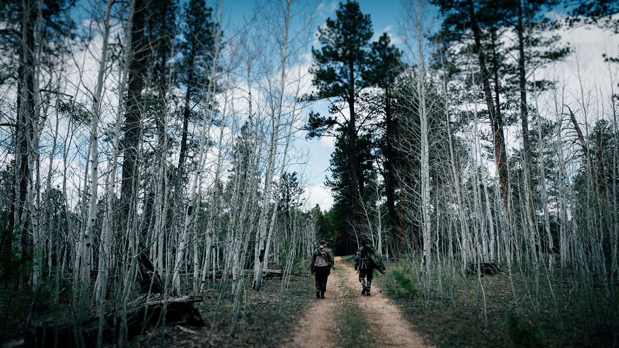 two hunters walking through the aspens