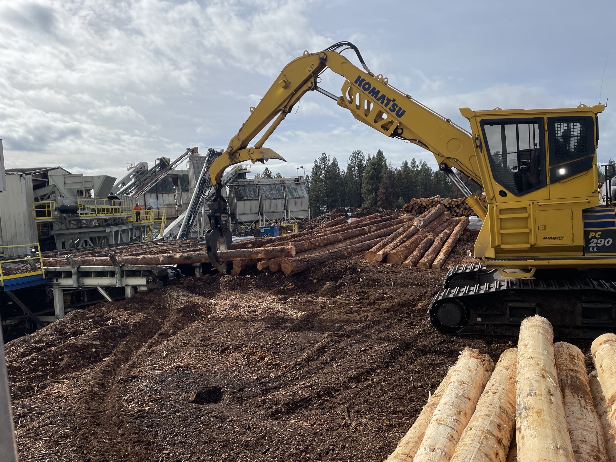 A log loader at Gilchrist Forest Products loading logs to be debarked. Photo courtesy of Gilchrist Forest Products.