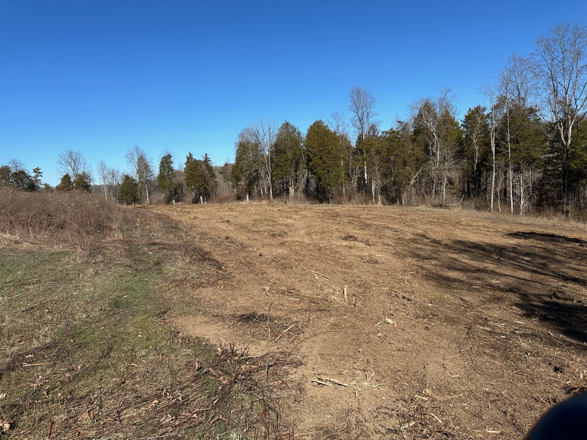 Austin Knight Foundation Boosts Conservation in the Volunteer State