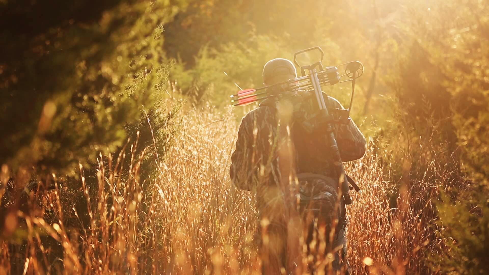 Archer walking through the woods