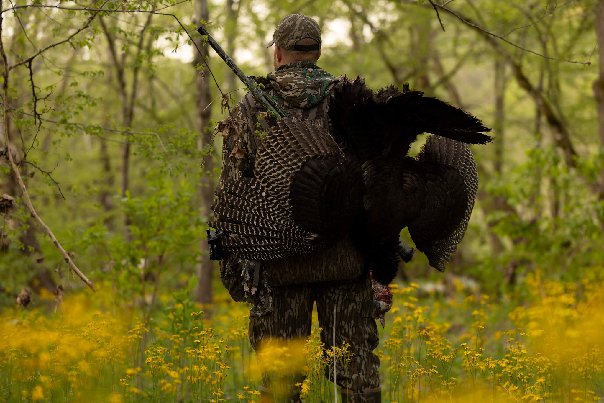 hunter in the woods holding a turkey on his back