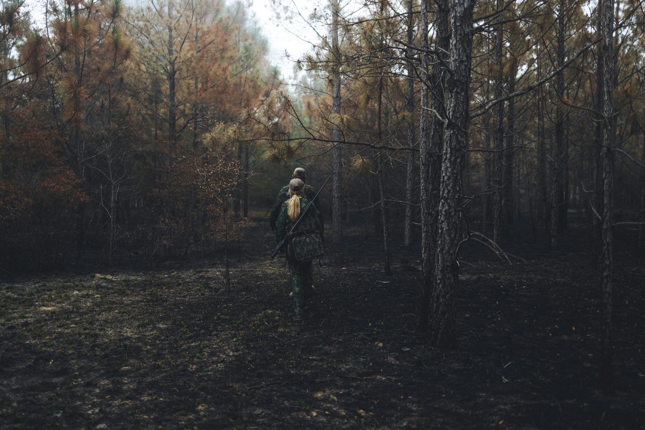 Hunters walk into the woods to pursue turkeys.