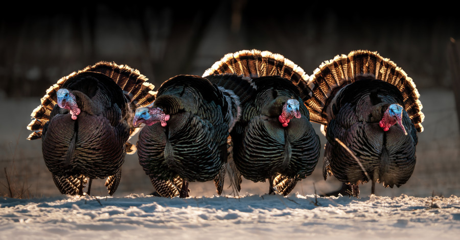 2024 NWTF Christmas Gift Guide - The National Wild Turkey Federation