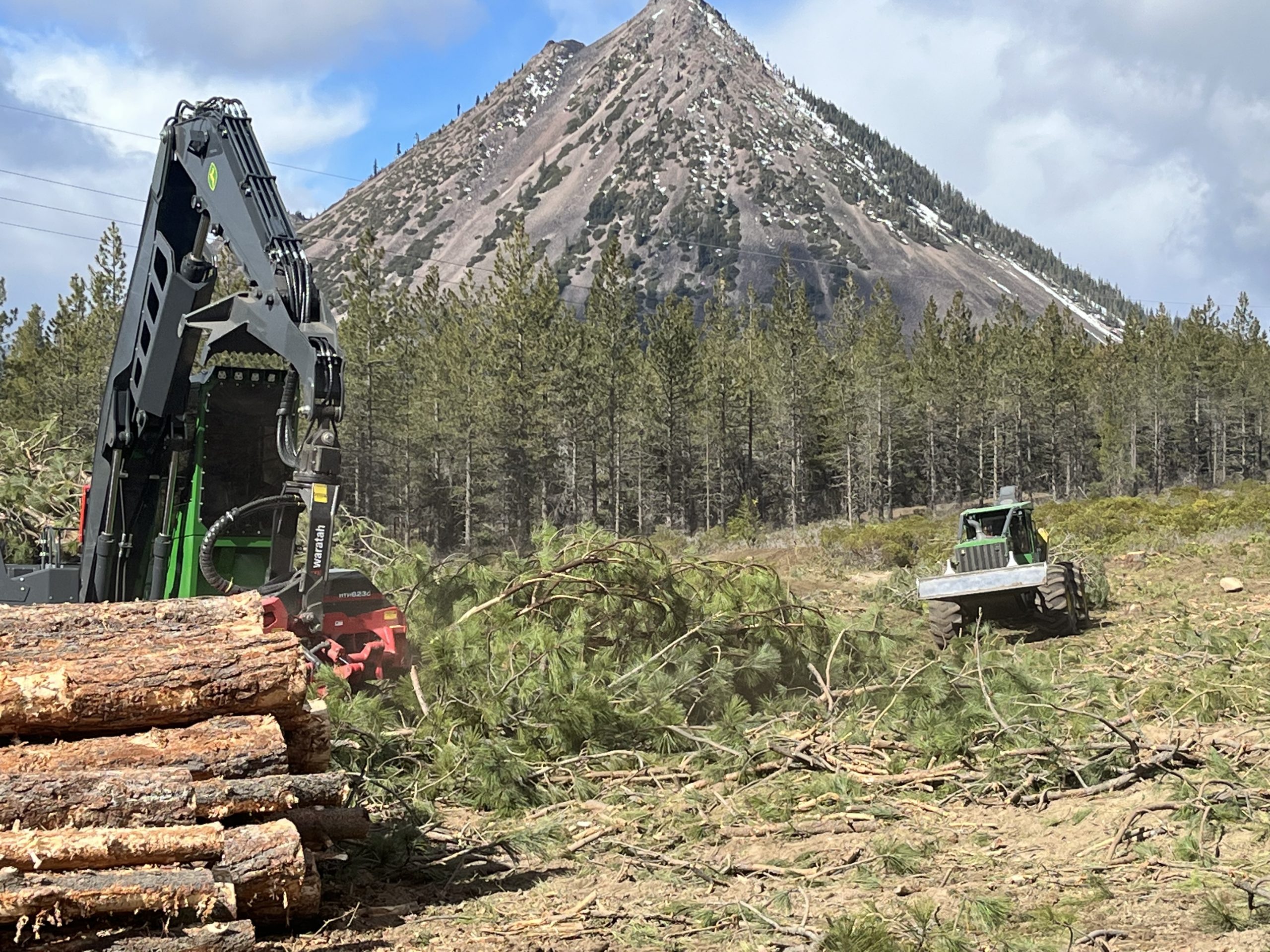 NWTF Commends Senate Introduction of Fix Our Forests Act - The National ...