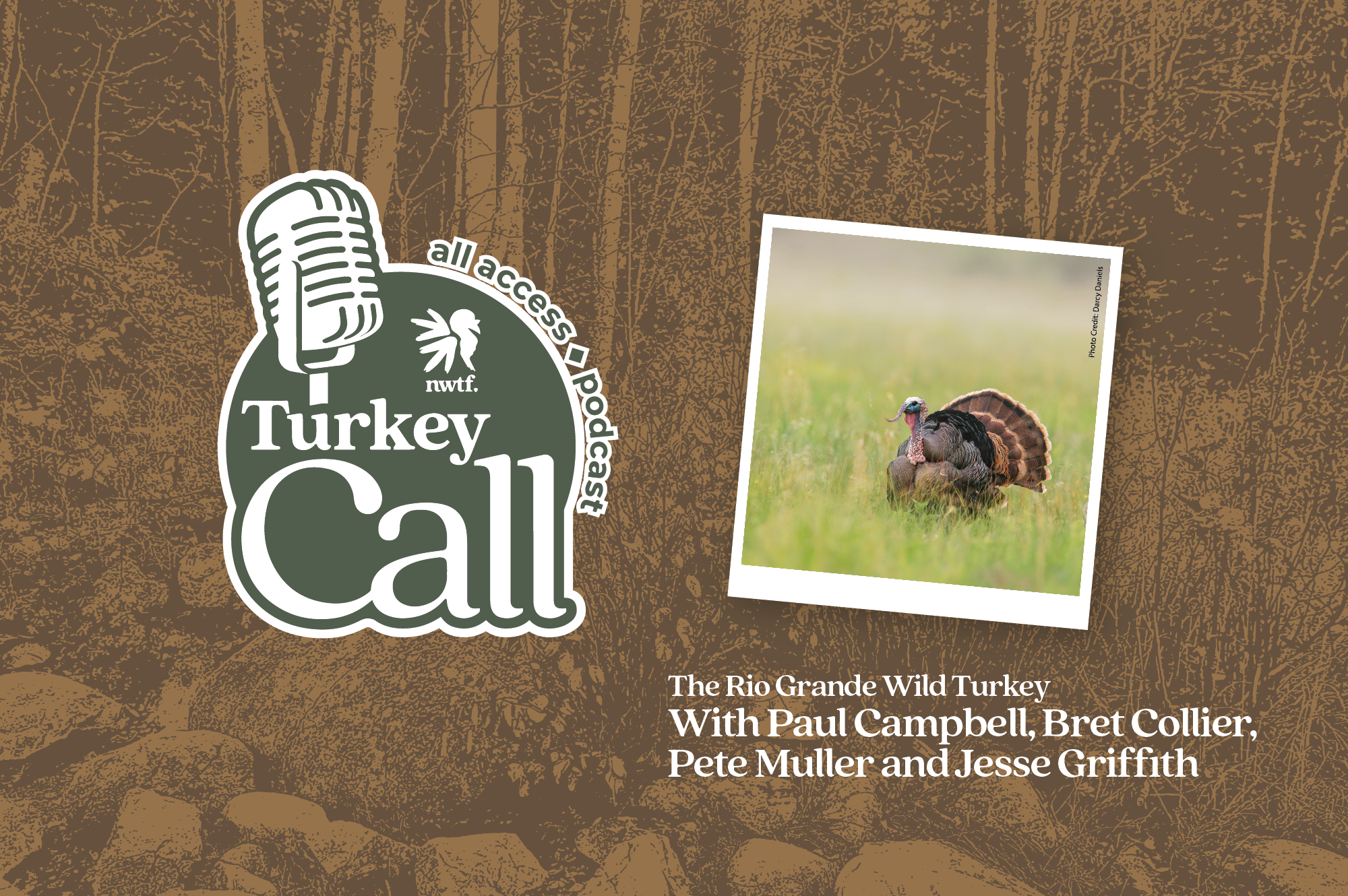 episode header with a photo of a rio turkey in the background