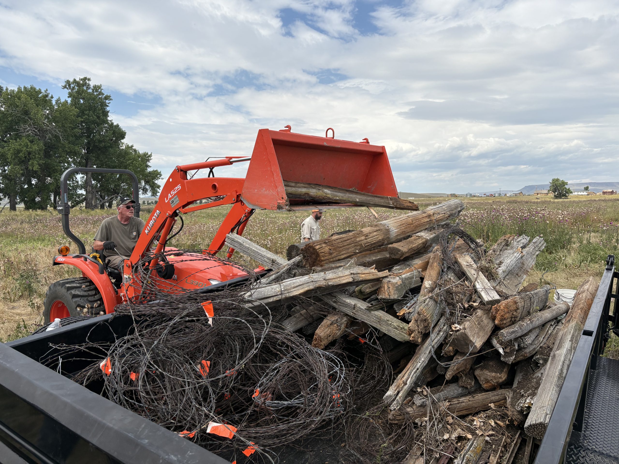 Fence posts and barbed wire being removed from the land
