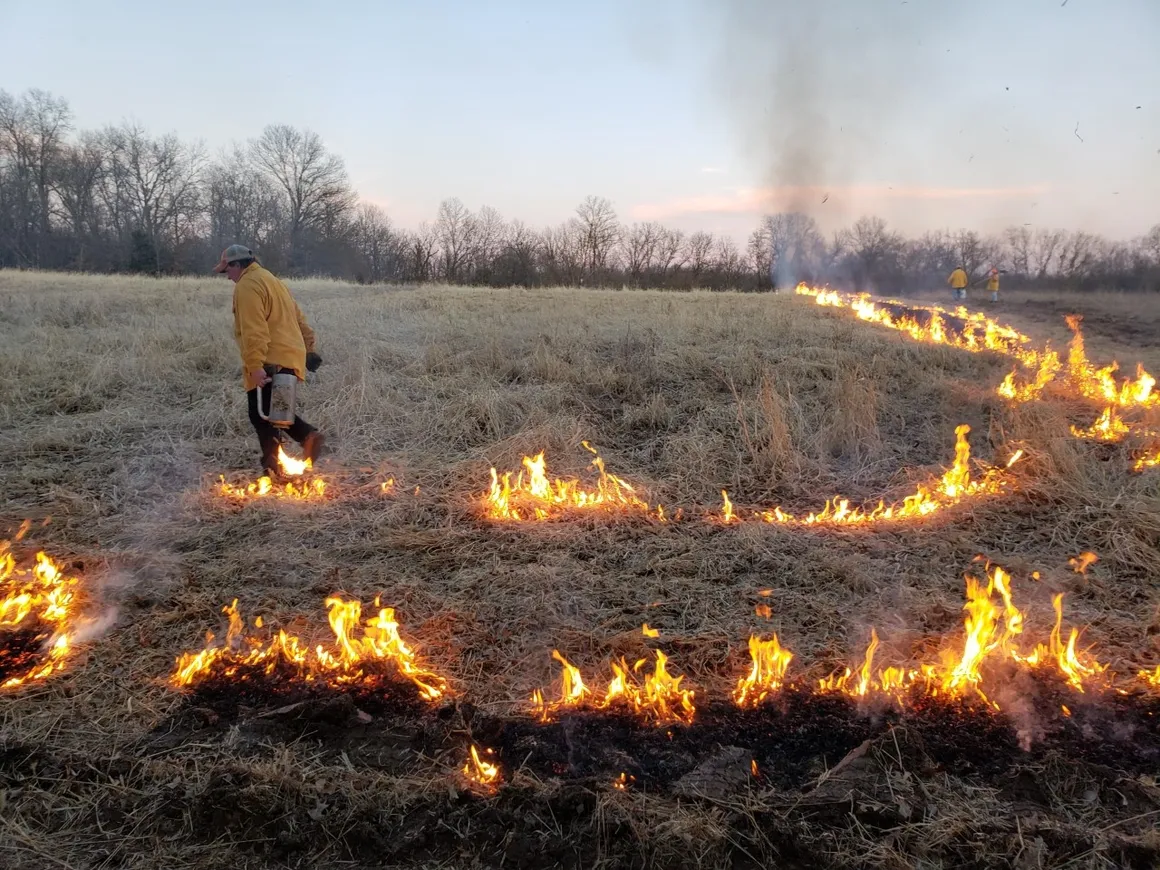 Drip torch prescribed fire in Missouri