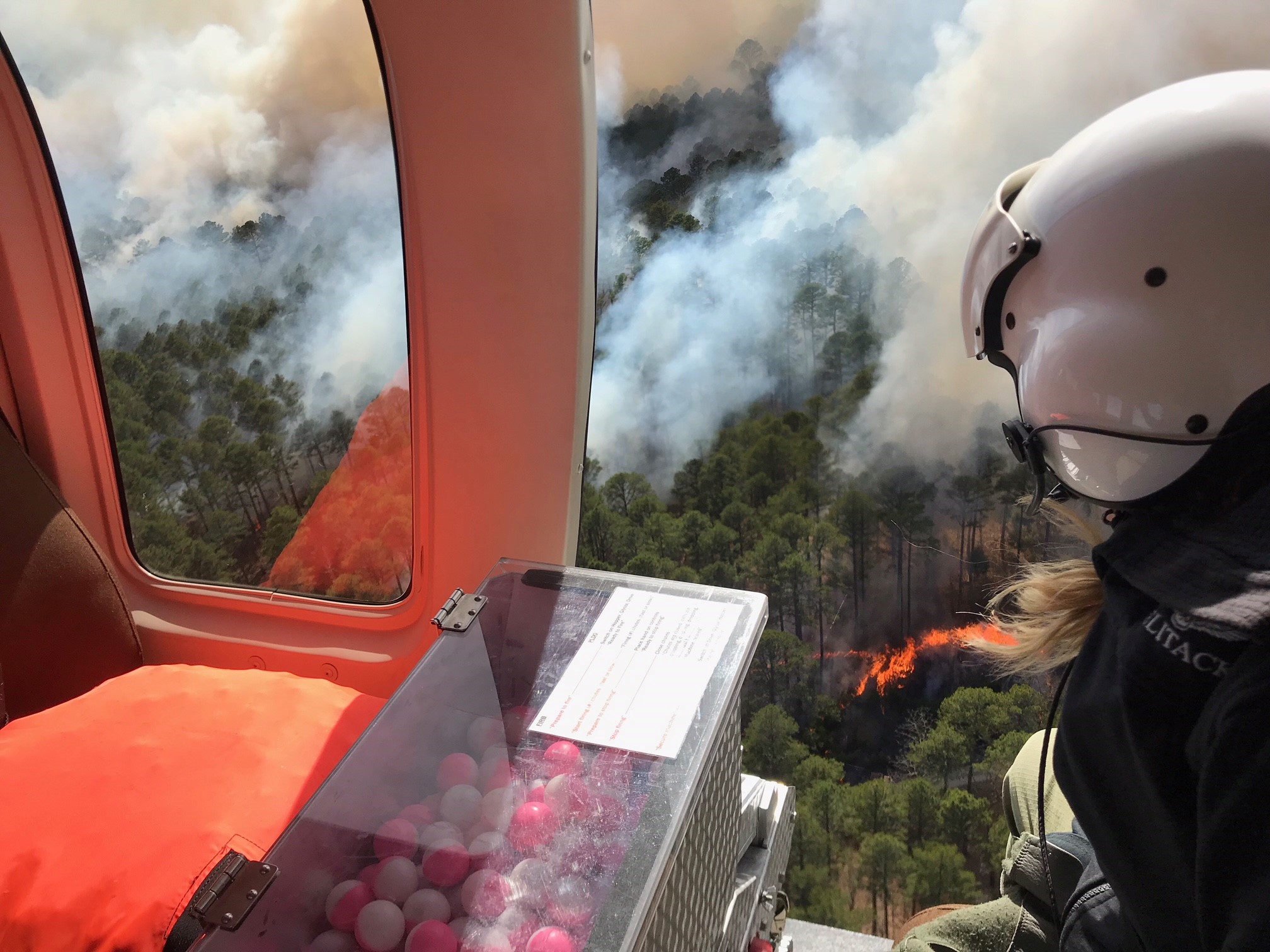 Female fire manager drops dragon egg ignition spheres during a prescribed burn
