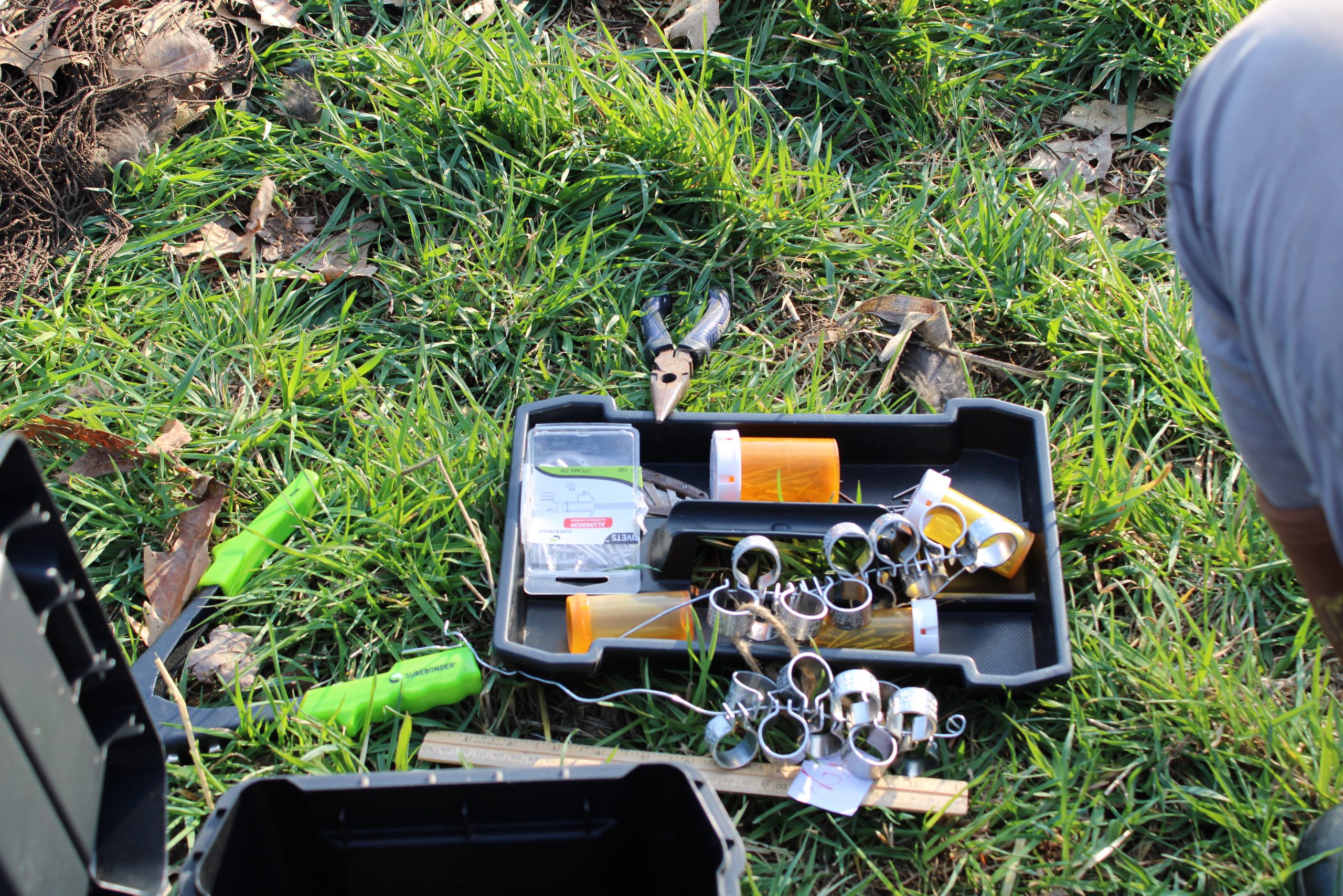 Wild turkey leg bands for research