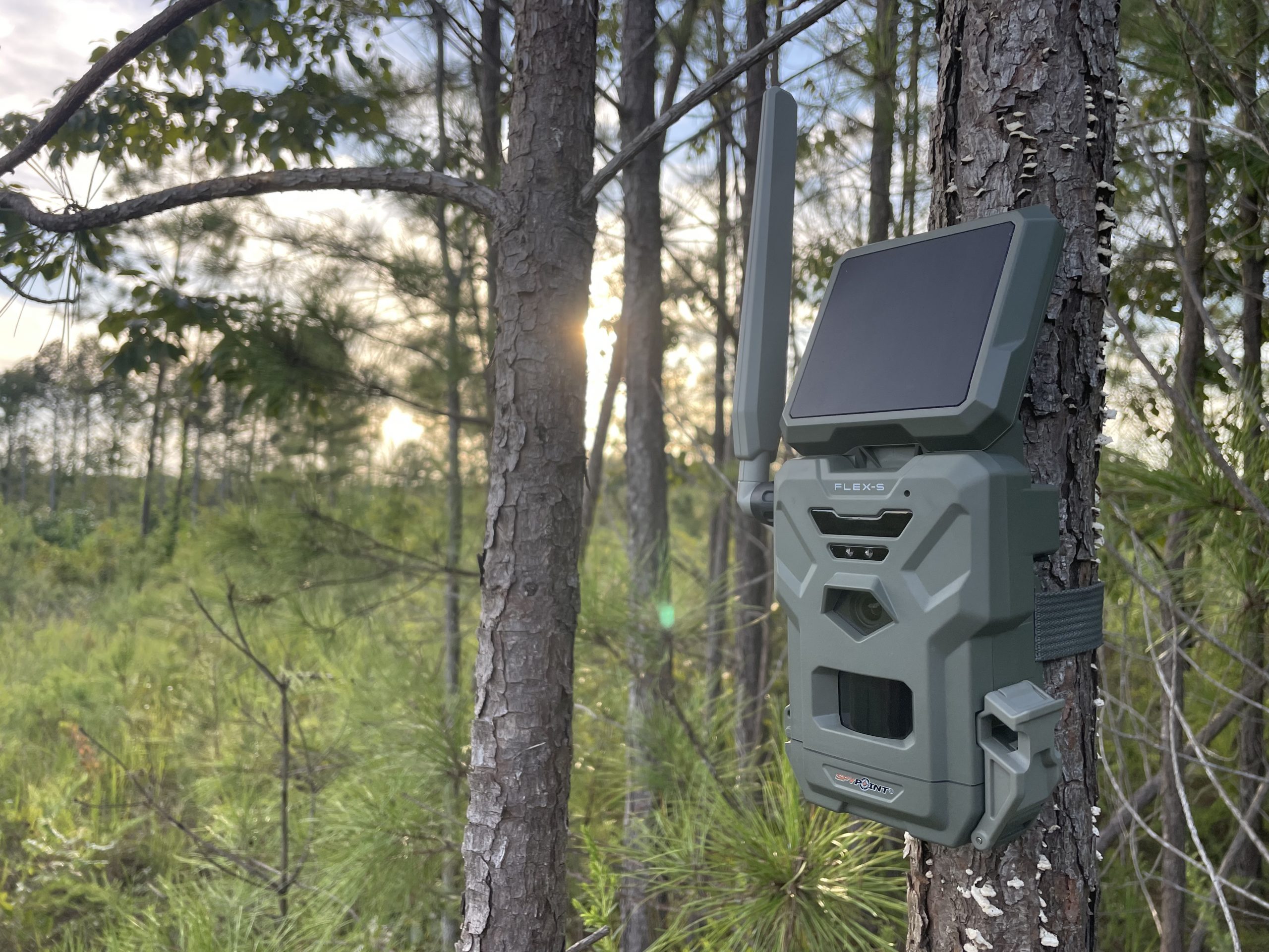 Eyes in the Woods: Picking the Right Trail Camera - The National Wild ...