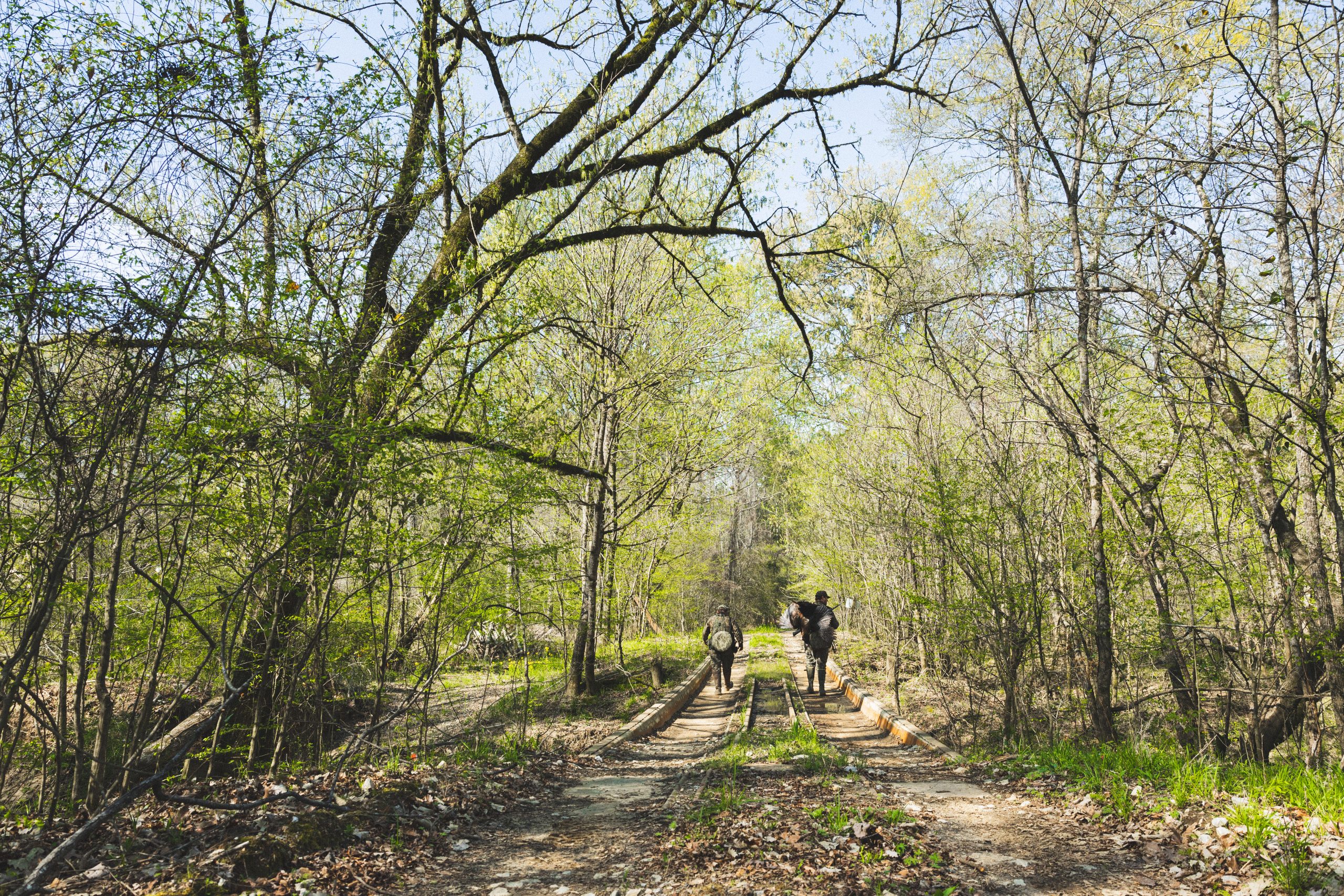 Hunters walk out of a forest after a hunt.