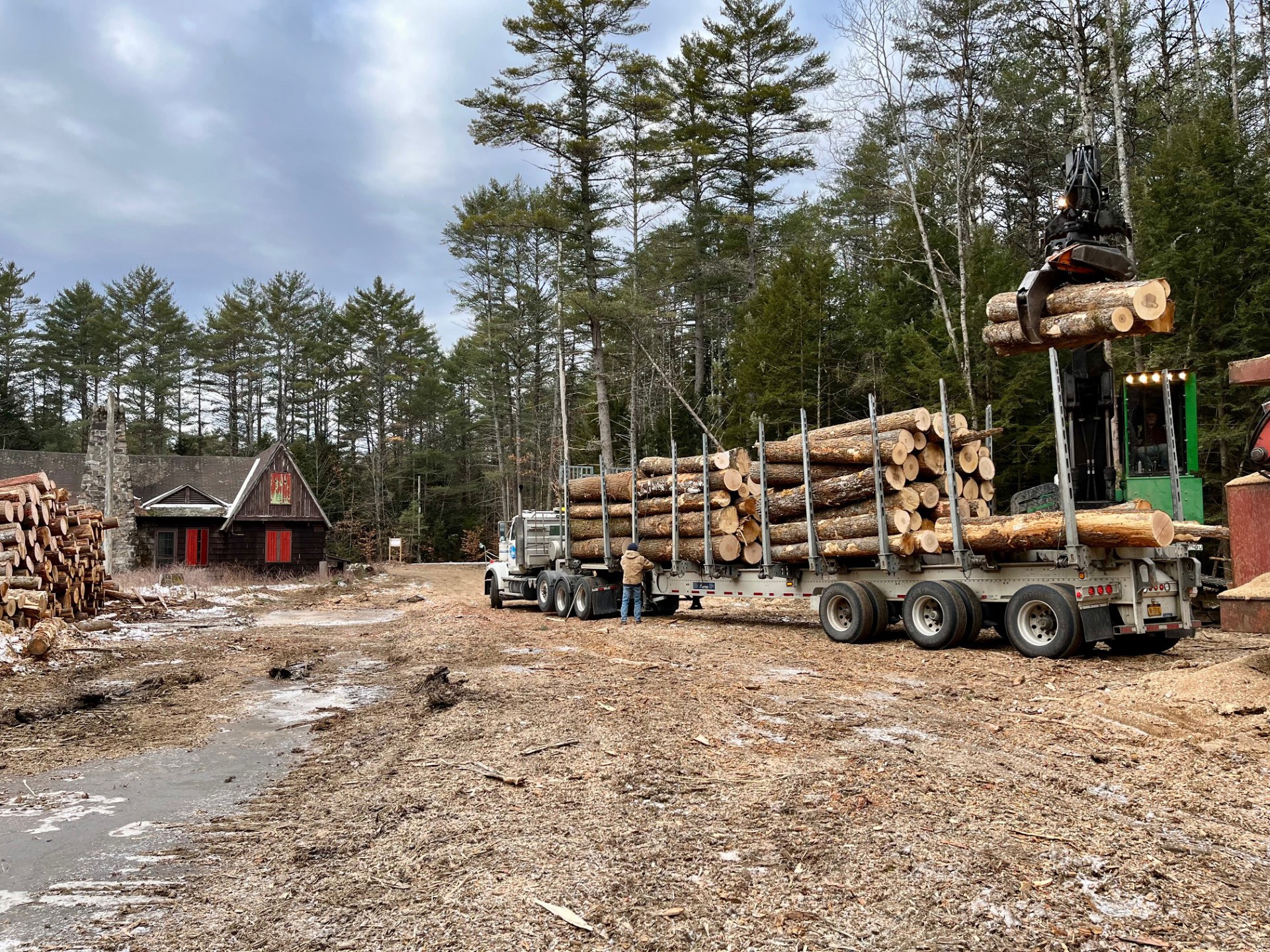 Logging at the timber harvest.