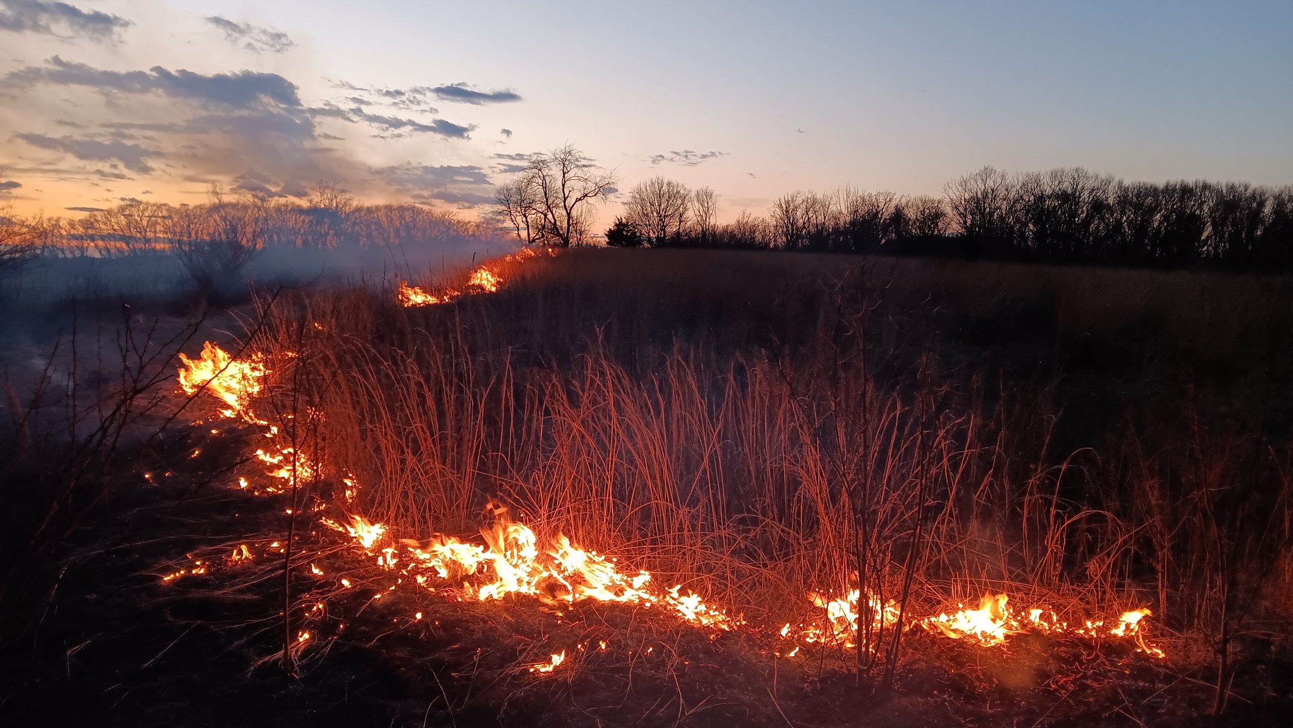 prescribed burning