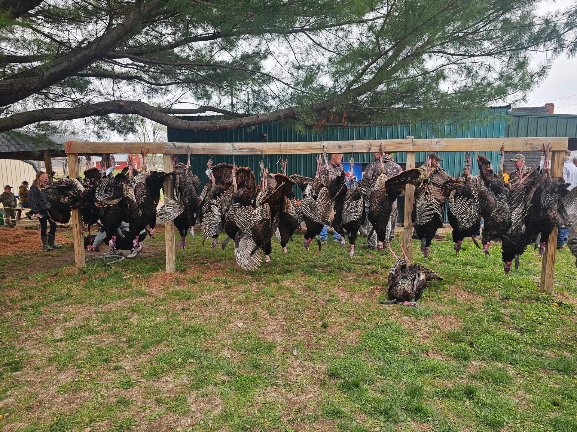 NEMO chapter youth turkey gathering