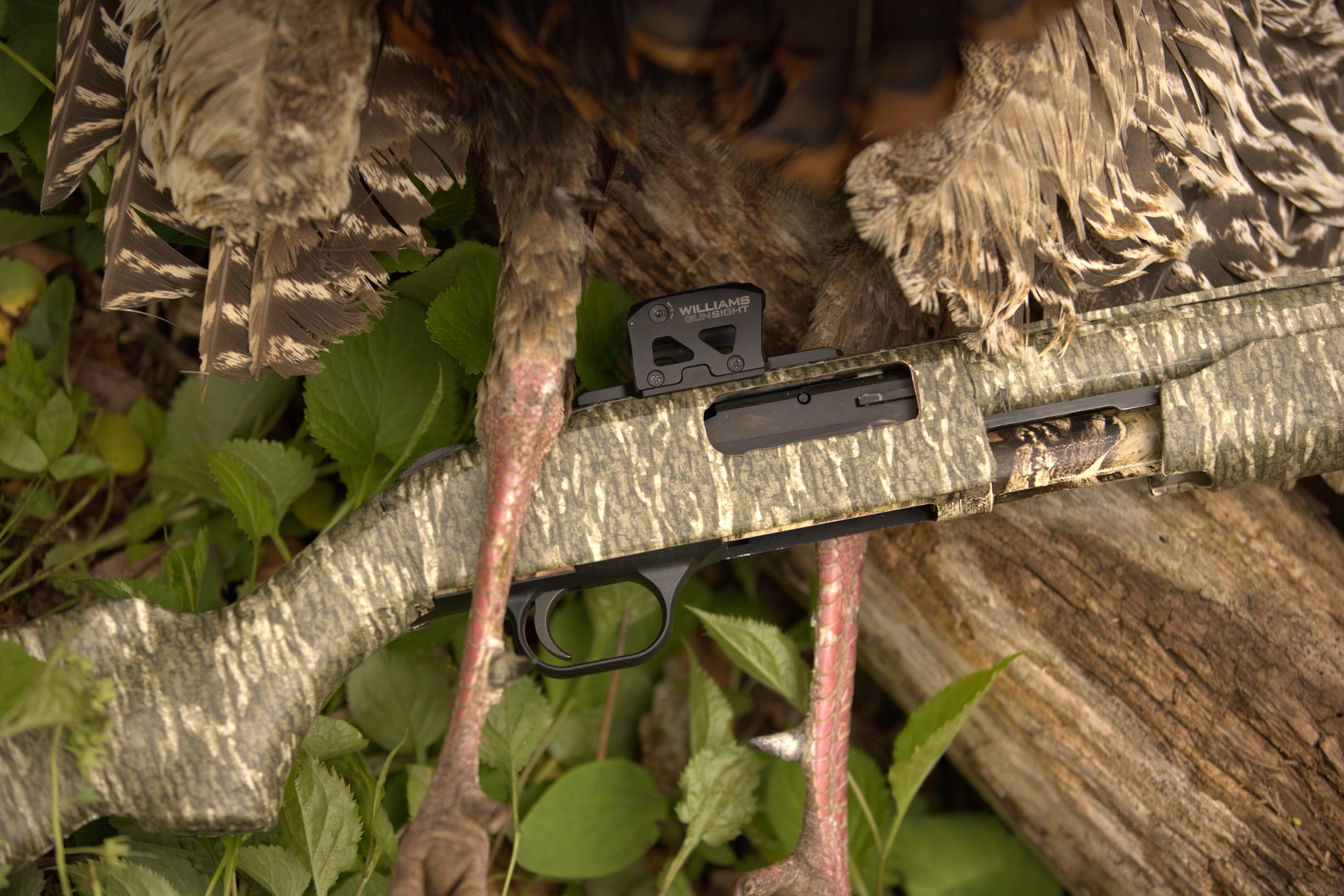 Turkey Standard Issue Rifle The Evolution of the Turkey Gun - The National Wild Turkey Federation