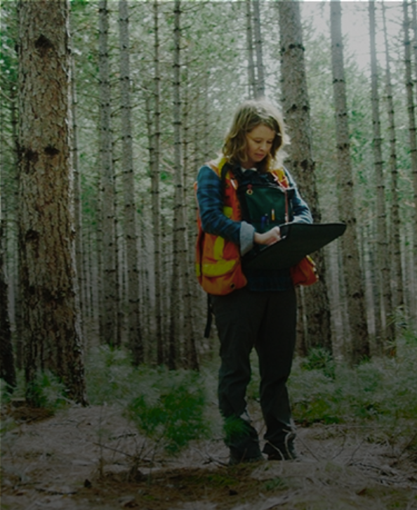 a woman walking in the woods with a reflector jacket and clipboard