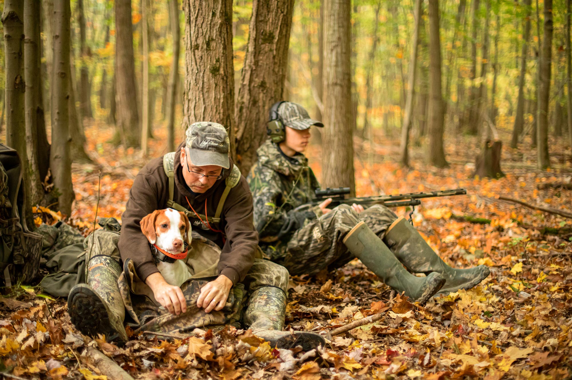 fall turkey hunting with a dog