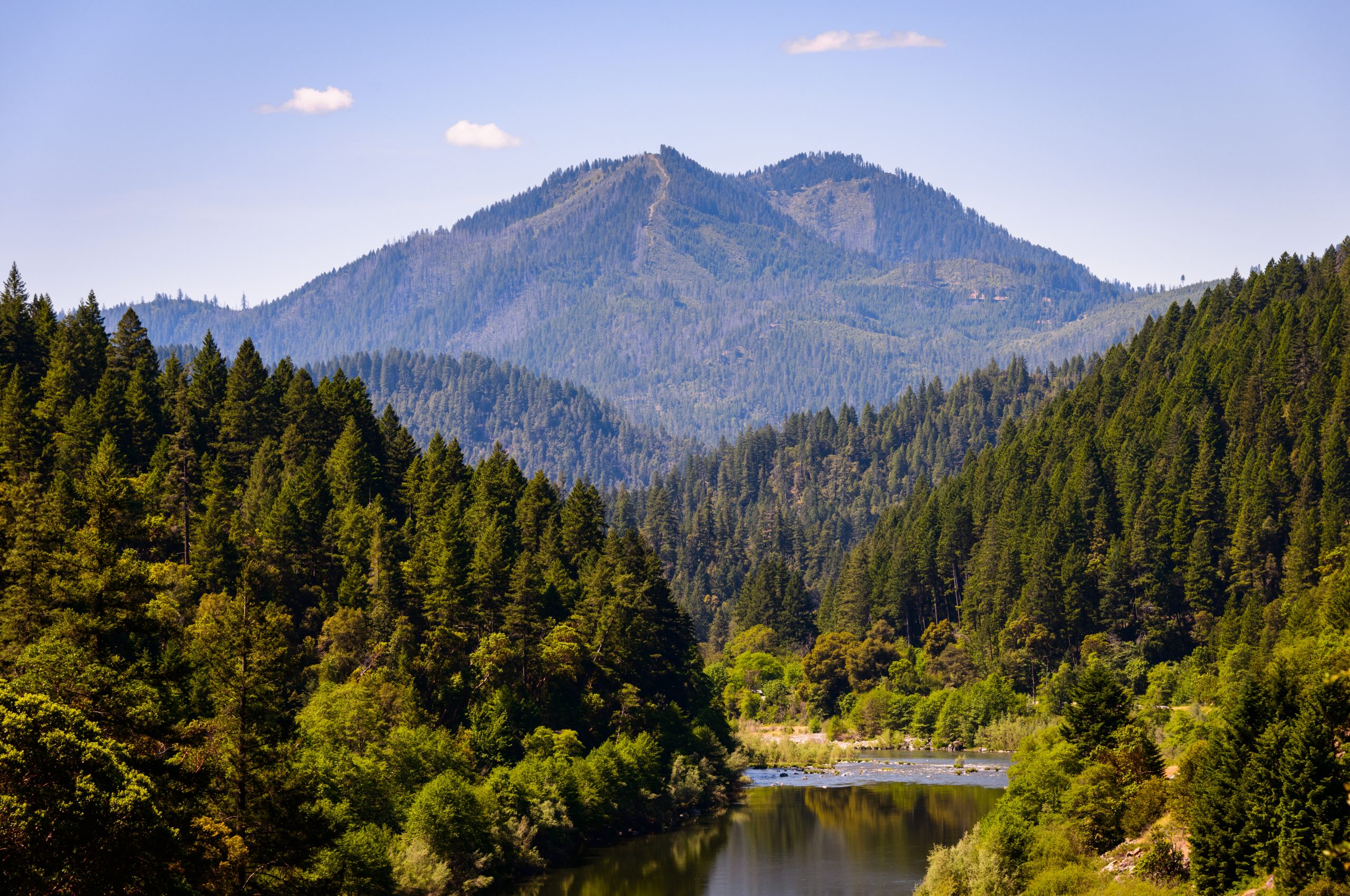 forest image from region 5 Klamath national forest