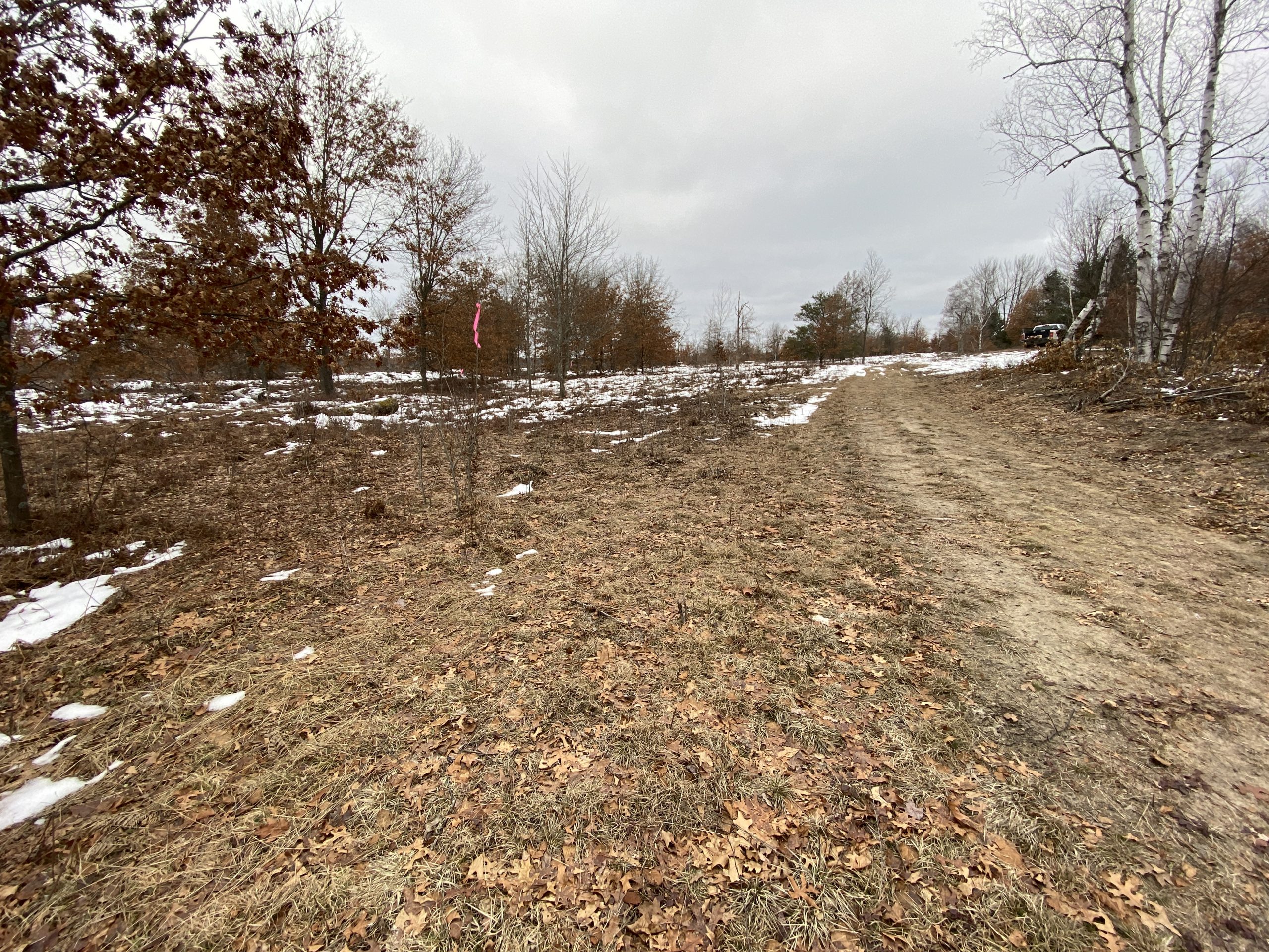 Project site